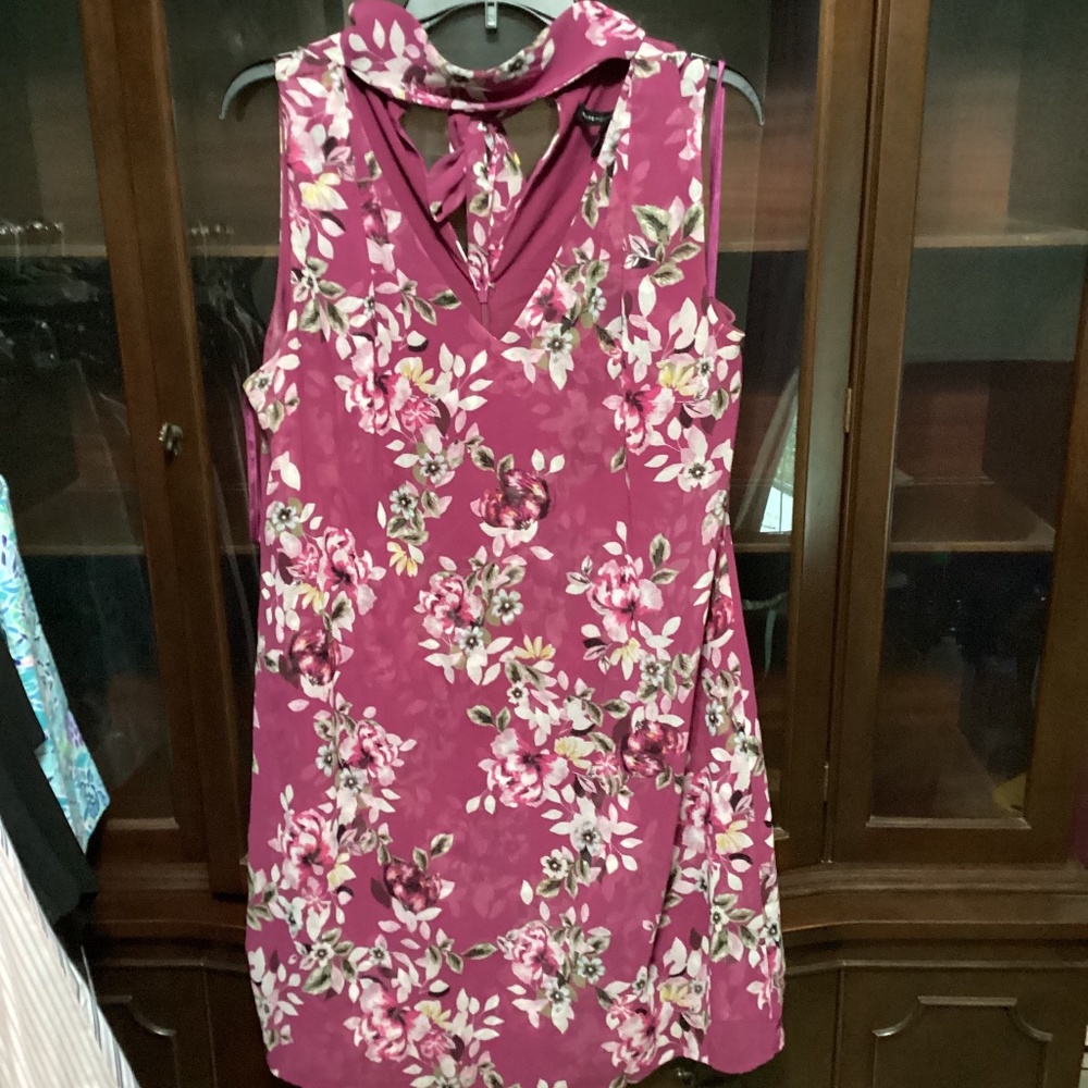 WHBM Dress ECU Size 14